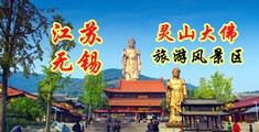 流氓性爱视频江苏无锡灵山大佛旅游风景区